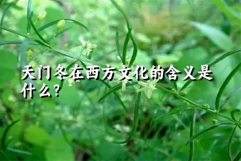 天门冬在西方文化的含义是什么？