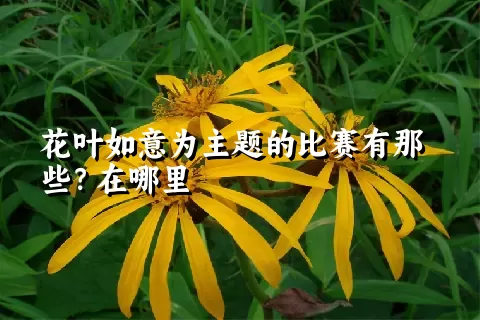花叶如意为主题的比赛有那些？在哪里