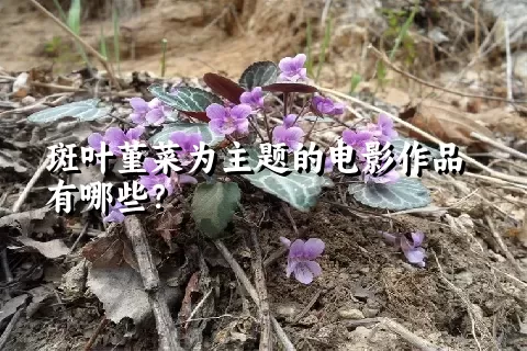 斑叶堇菜为主题的电影作品有哪些？