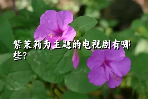 紫茉莉为主题的电视剧有哪些？
