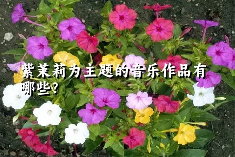 紫茉莉为主题的音乐作品有哪些？