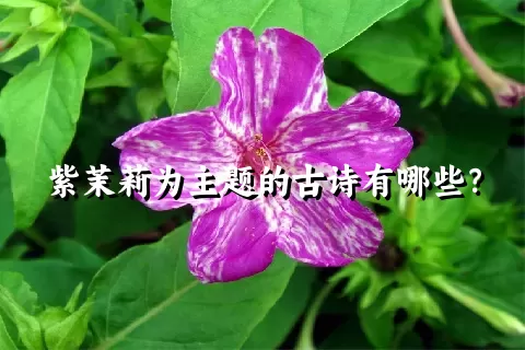 紫茉莉为主题的古诗有哪些？