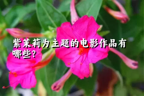 紫茉莉为主题的电影作品有哪些？