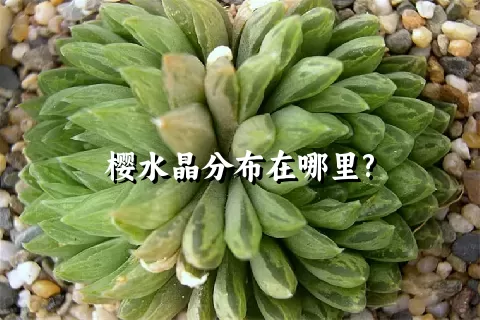 樱水晶分布在哪里?
