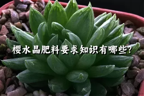 樱水晶肥料要求知识有哪些？