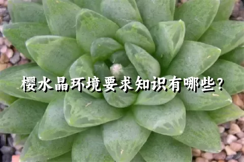 樱水晶环境要求知识有哪些？