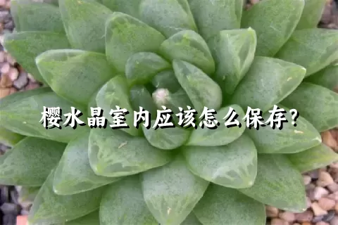 樱水晶室内应该怎么保存？
