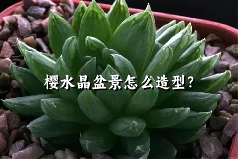 樱水晶盆景怎么造型？