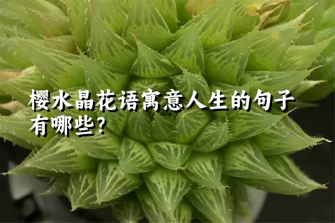 樱水晶花语寓意人生的句子有哪些？