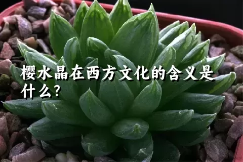 樱水晶在西方文化的含义是什么？