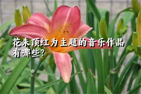 花朱顶红为主题的音乐作品有哪些？