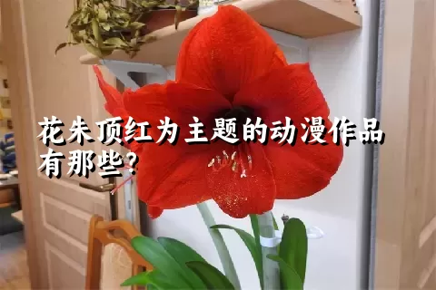花朱顶红为主题的动漫作品有那些？
