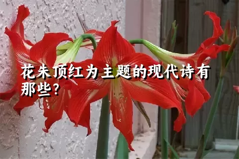 花朱顶红为主题的现代诗有那些？