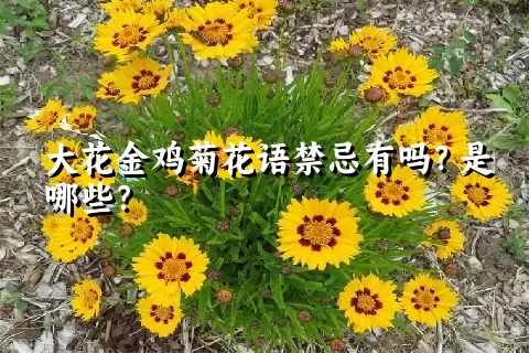 大花金鸡菊花语禁忌有吗？是哪些？
