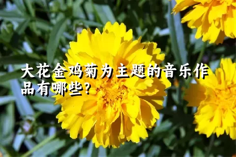 大花金鸡菊为主题的音乐作品有哪些？