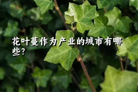 花叶蔓作为产业的城市有哪些？