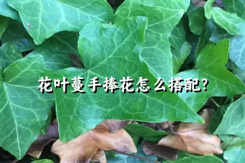花叶蔓手捧花怎么搭配？