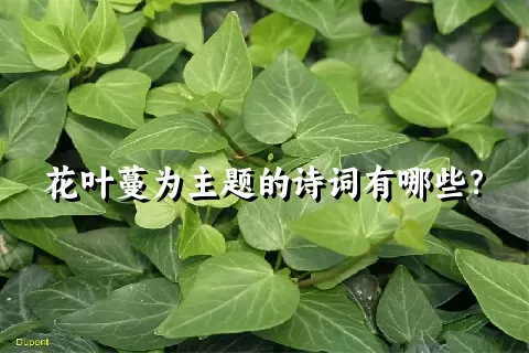 花叶蔓为主题的诗词有哪些？