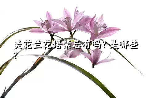 美花兰花语禁忌有吗？是哪些？