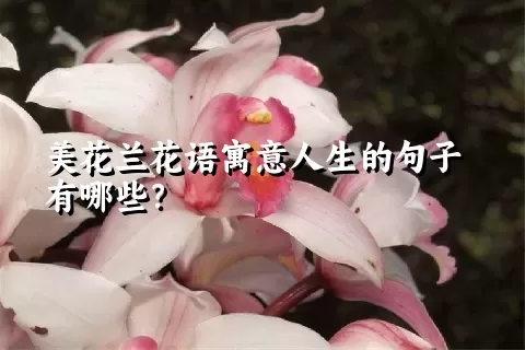 美花兰花语寓意人生的句子有哪些？