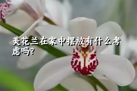 美花兰在家中摆放有什么考虑吗？