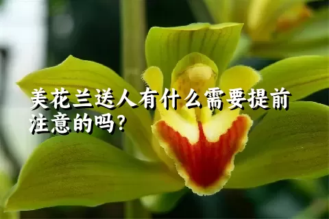美花兰送人有什么需要提前注意的吗？
