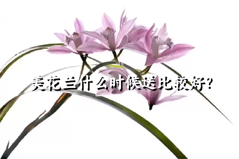 美花兰什么时候送比较好？