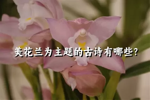 美花兰为主题的古诗有哪些？