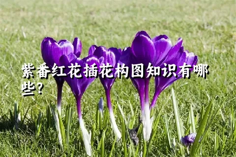 紫番红花插花构图知识有哪些？