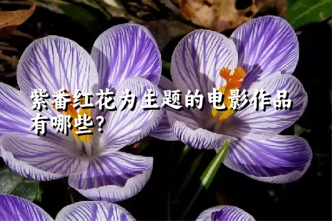 紫番红花为主题的电影作品有哪些？