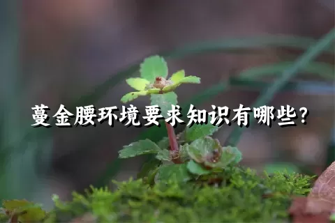 蔓金腰环境要求知识有哪些？