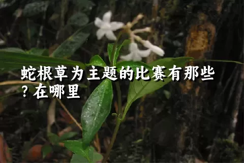 蛇根草为主题的比赛有那些？在哪里
