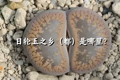 日轮玉之乡（都）是哪里？