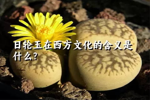 日轮玉在西方文化的含义是什么？
