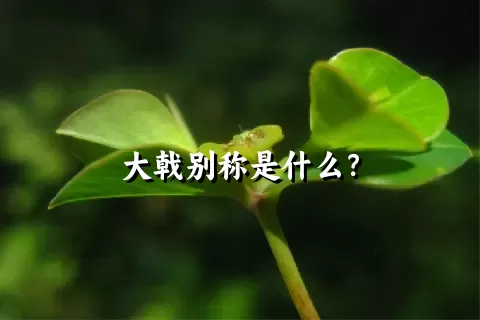大戟别称是什么？