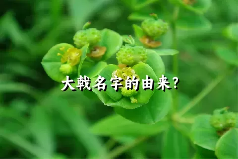 大戟名字的由来？