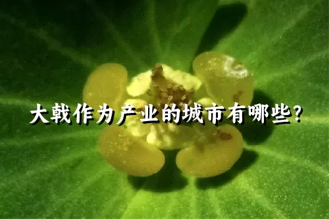 大戟作为产业的城市有哪些？