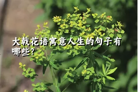 大戟花语寓意人生的句子有哪些？