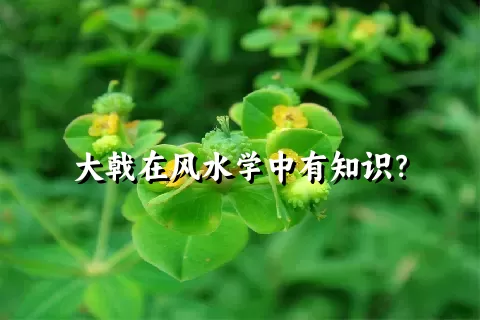 大戟在风水学中有知识？