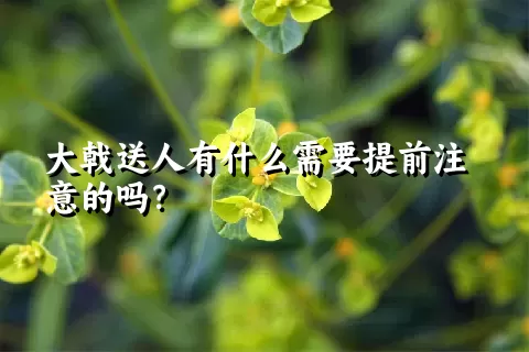 大戟送人有什么需要提前注意的吗？