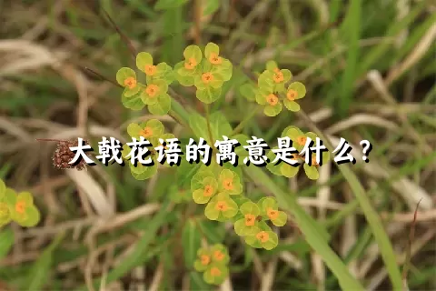 大戟花语的寓意是什么？