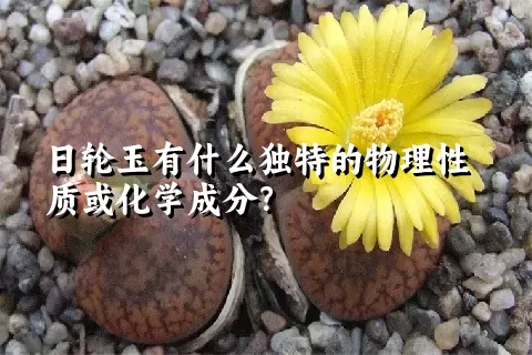 日轮玉有什么独特的物理性质或化学成分？