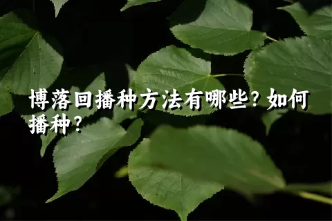 博落回播种方法有哪些？如何播种？