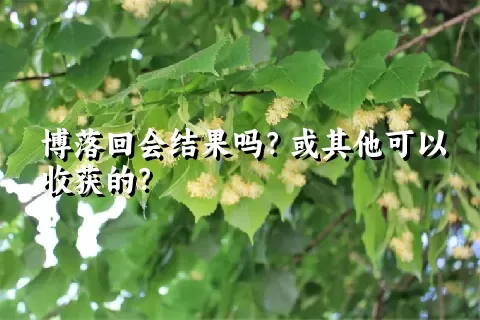 博落回会结果吗？或其他可以收获的？