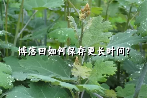 博落回如何保存更长时间？