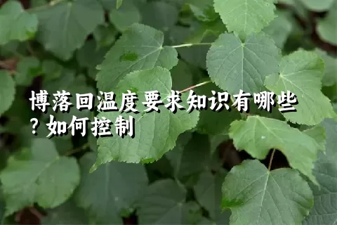 博落回温度要求知识有哪些？如何控制