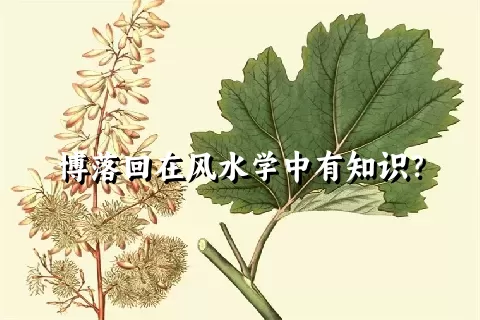 博落回在风水学中有知识？