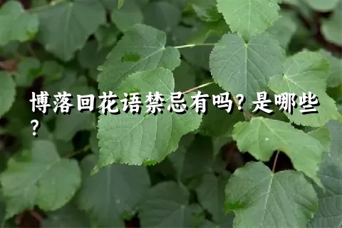 博落回花语禁忌有吗？是哪些？