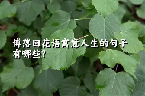 博落回花语寓意人生的句子有哪些？