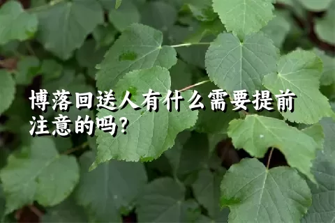 博落回送人有什么需要提前注意的吗？